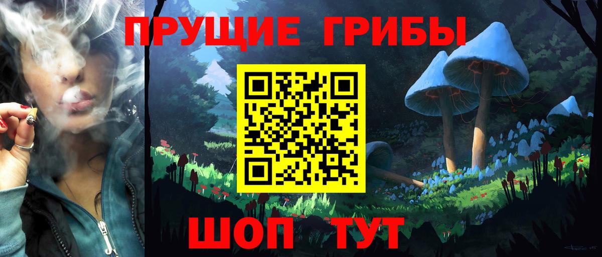 Галлюциногенные грибы GOLDEN TEACHER Бор